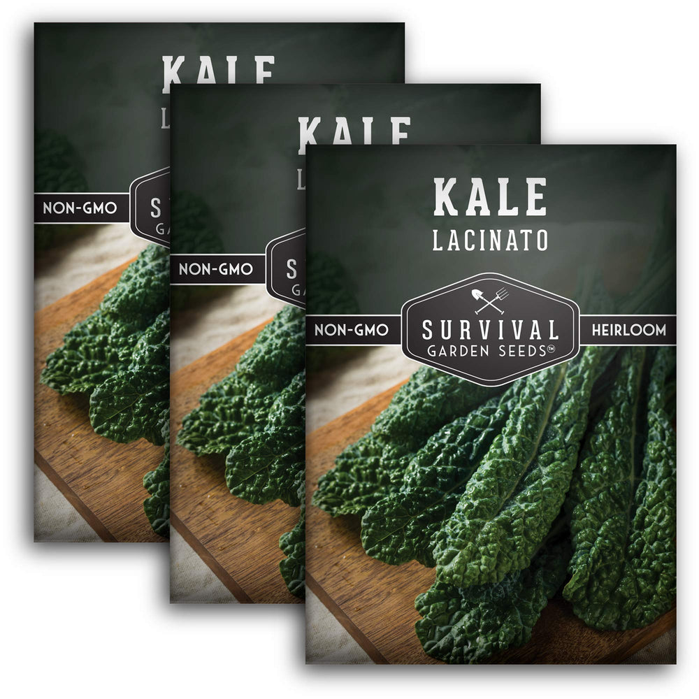 Lacinato Kale Seeds pack front view, green packaging