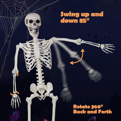 LaLamona posable skeleton assembled with detailed joints