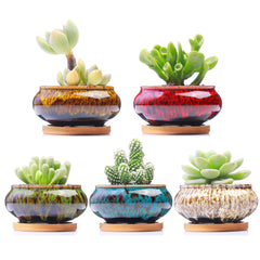 LamDawn ceramic succulent pot with saucer in vibrant burner colour