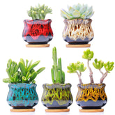 LamDawn Cute Ceramic Succulent Pot in Fambe colour, front view