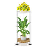 LASZOLA 2 Tier Plant Stand front view in solid white-brown