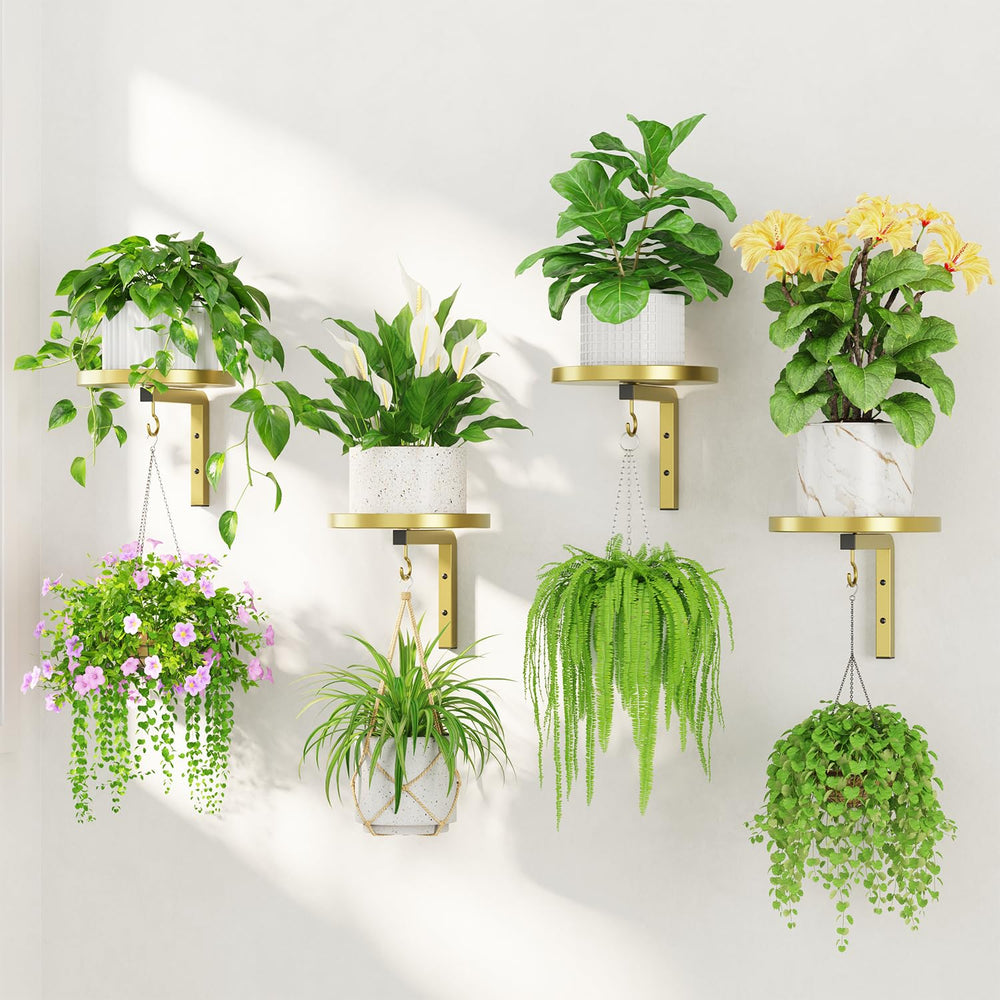 LASZOLA 4Pcs Wall Mount Plant Shelves in Classic Gold front view