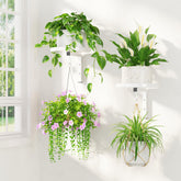 LASZOLA Plant Hanger Holder front view with plants