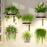 LASZOLA Plant Hanger Holder Shelf with LED grow lights front view