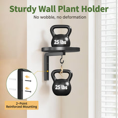 LASZOLA Plant Hanger with potted plants displayed on it