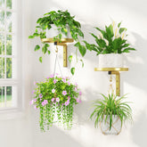 LASZOLA wall mounted plant hanger gold set of 2