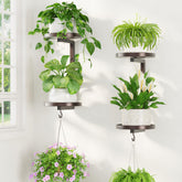 LASZOLA wall mounted plant hanger holder in bronze with plant on display