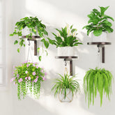 LASZOLA wall mounted plant hanger holder set of 3 with brown finish