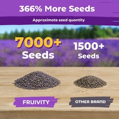 Lavender seeds sprouting in a garden setting