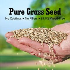 Lawn scene with GreenView grass seed blend in use