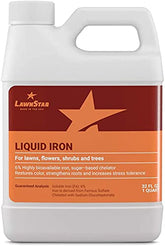 LawnStar Liquid Iron 32 Oz bottle front view
