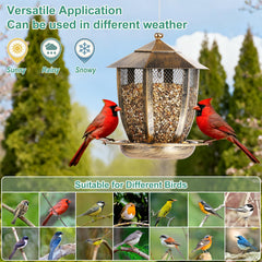 LBTING Bird Feeder hanging from a tree