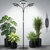 LBW 3-Head Grow Light front view with adjustable height