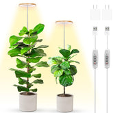 LBW 6.3-inch grow light front view with bamboo design