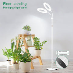 LBW Dual Head Grow Light assembled in indoor plant setting