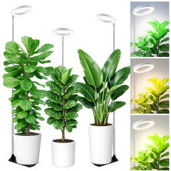 LBW Grow Light 6.3" full spectrum lamp head with adjustable pole