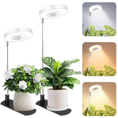 LBW Grow Light adjustable height with white lamp