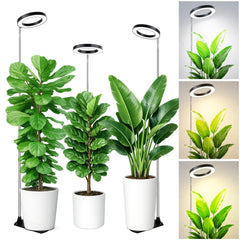 LBW Grow Light for indoor plants with adjustable height
