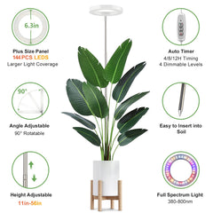 LBW Grow Light in a living room with plants
