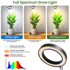 LBW grow light on a table with plants