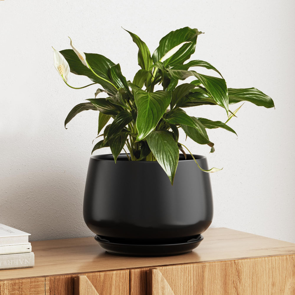 LE TAUCI 10 Inch Ceramic Planter in Black front view