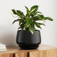 LE TAUCI 10 Inch Ceramic Planter in Black front view