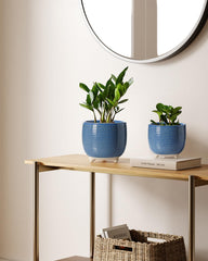LE TAUCI 6.4 inch ceramic pot with lush plants