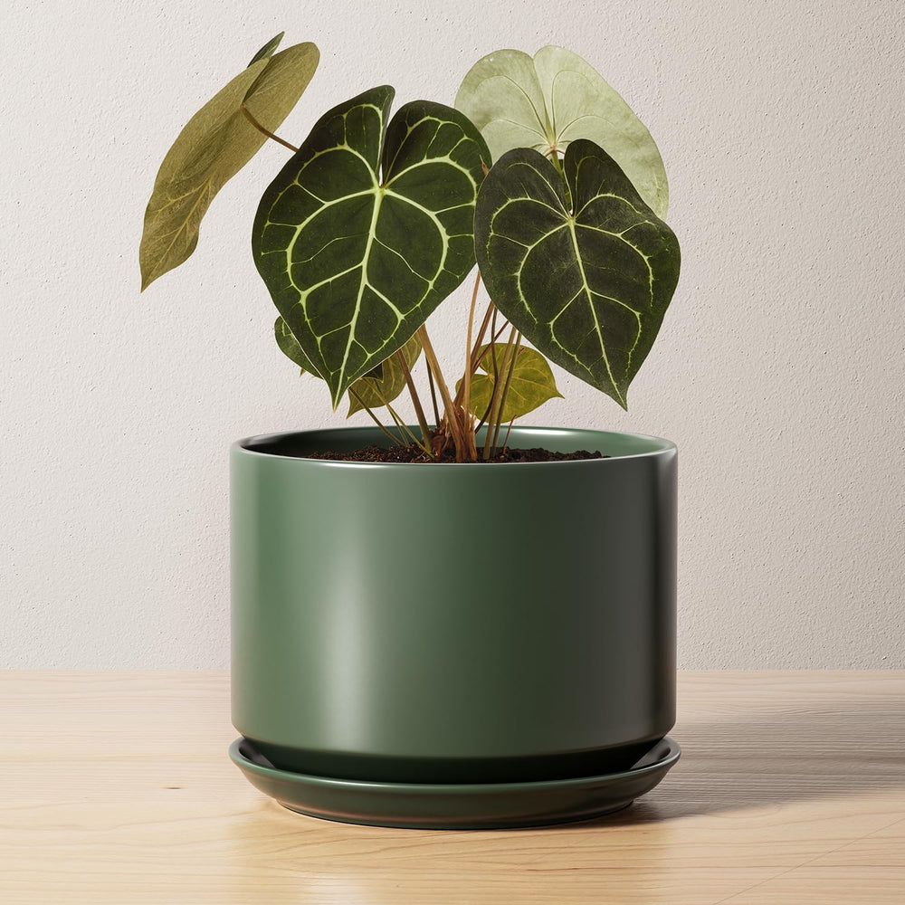 LE TAUCI 6.8 Inch Ceramic Plant Pot in Forest Green front view