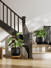 LE TAUCI Ceramic Planter showing the drainage hole and saucer