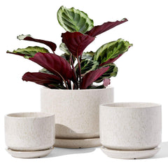LE TAUCI ceramic pot set of 3 in reactive glazed beige