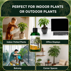 Leaves and Soul Money Tree Fertilizer label showcasing 3-1-2 formula