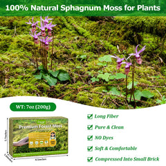 Legigo 7oz sphagnum moss close-up of texture