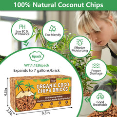 Legigo Coco Chips 6 Pack showing individual bricks