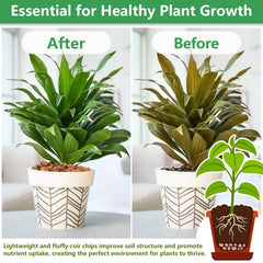 Legigo Coco Chips used in a potted plant