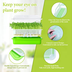 Legigo seed sprouting kit with germinating papers included