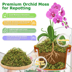 Legigo sphagnum moss being used around plant roots