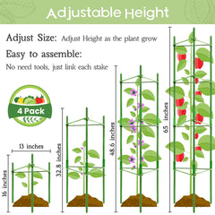 Legigo tomato cage assembled with plants climbing