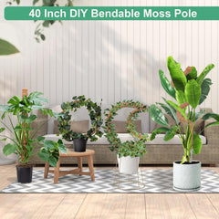 LifeNest moss poles with adjustable plant ties