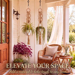 Lifestyle scene with Shappy macrame hangers in indoor setting