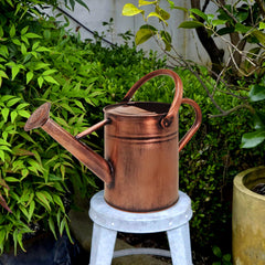 Lifestyle shot of Ausluru Watering Can in garden setting