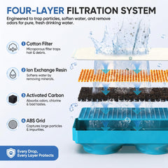 Lifetessa filter with sponge included