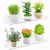 Lifewit Window Plant Shelf transparent front view