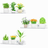 Lifewit Window Plant Shelves transparent design front view