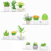 Lifewit Window Plant Shelves transparent design with plants