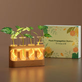 Lightalent Plant Propagation Station wooden stand with 4 glass tubes