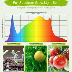 Lonwon Grow Light Bulb packaging with specifications