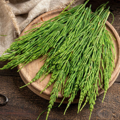 Loose leaf Frontier Co-op Horsetail Herb close-up