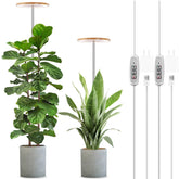 LORDEM Bamboo Grow Light front view with adjustable height