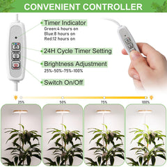 LORDEM Bamboo Grow Light timer settings