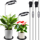 LORDEM Desk Grow Light full spectrum 72-LED front view